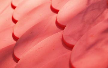 Haughton plastic roof costs