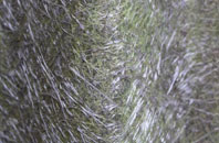 Haughton fibreglass roof work